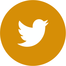 twitter link